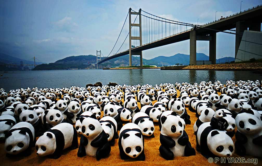 Pandamania – Ma collection de pandas