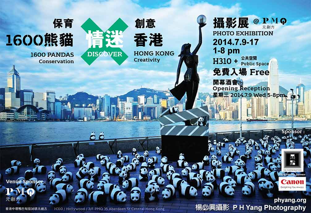 P H Yang Photography  1600 Pandas Discover Hong Kong - Solo Photo